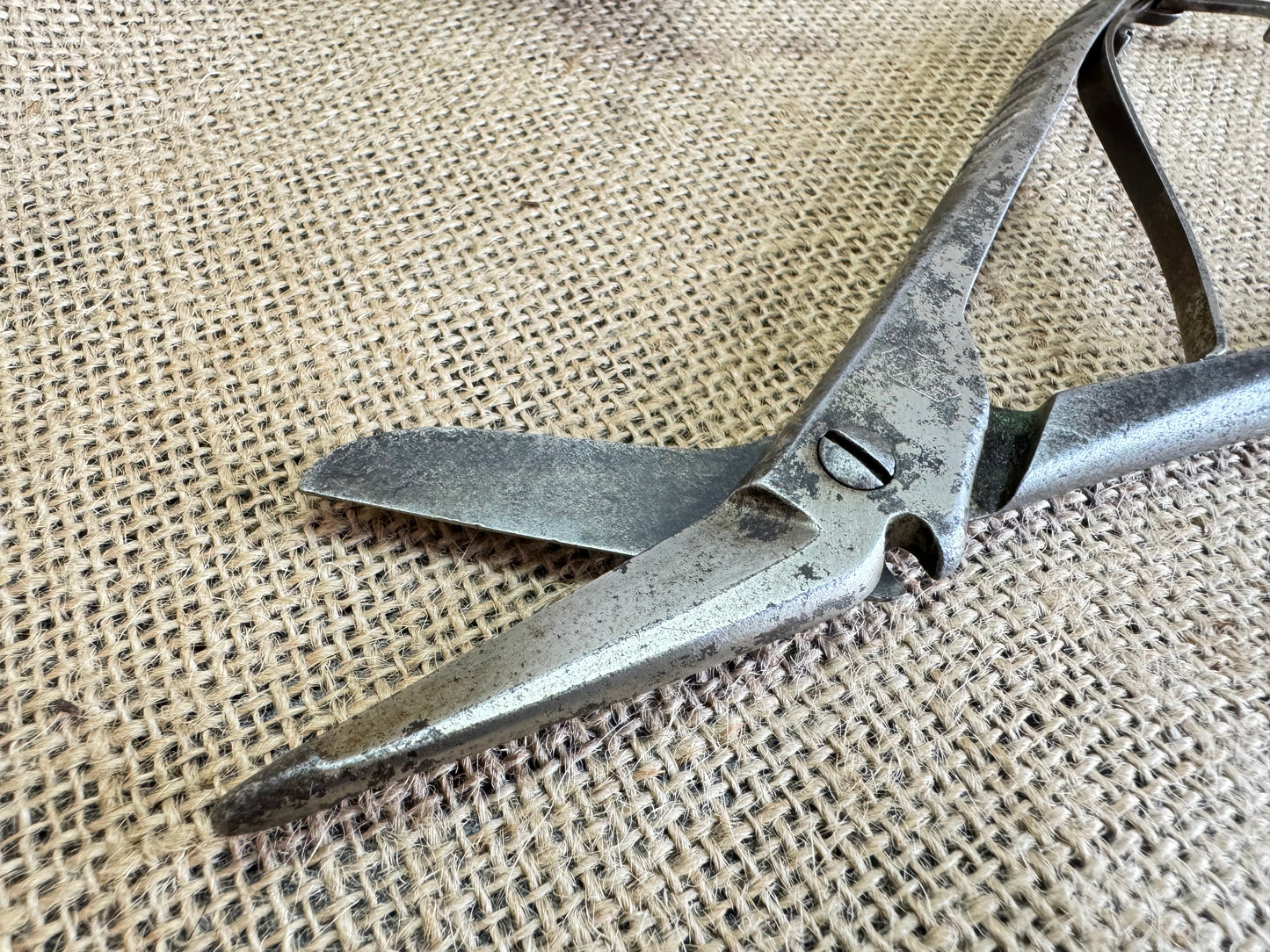 Vintage VLG Medical Bandage Scissors