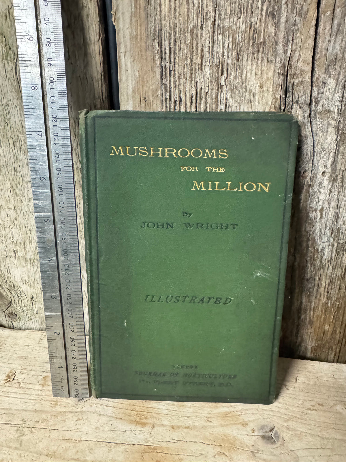 Mushrooms for the Million Book by John Wright 1883