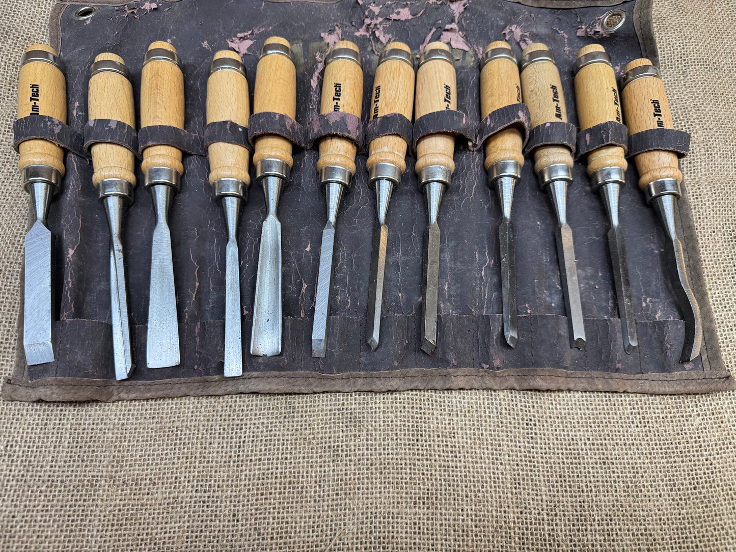 AM-TECH 12 Piece Wood Carving Chisels