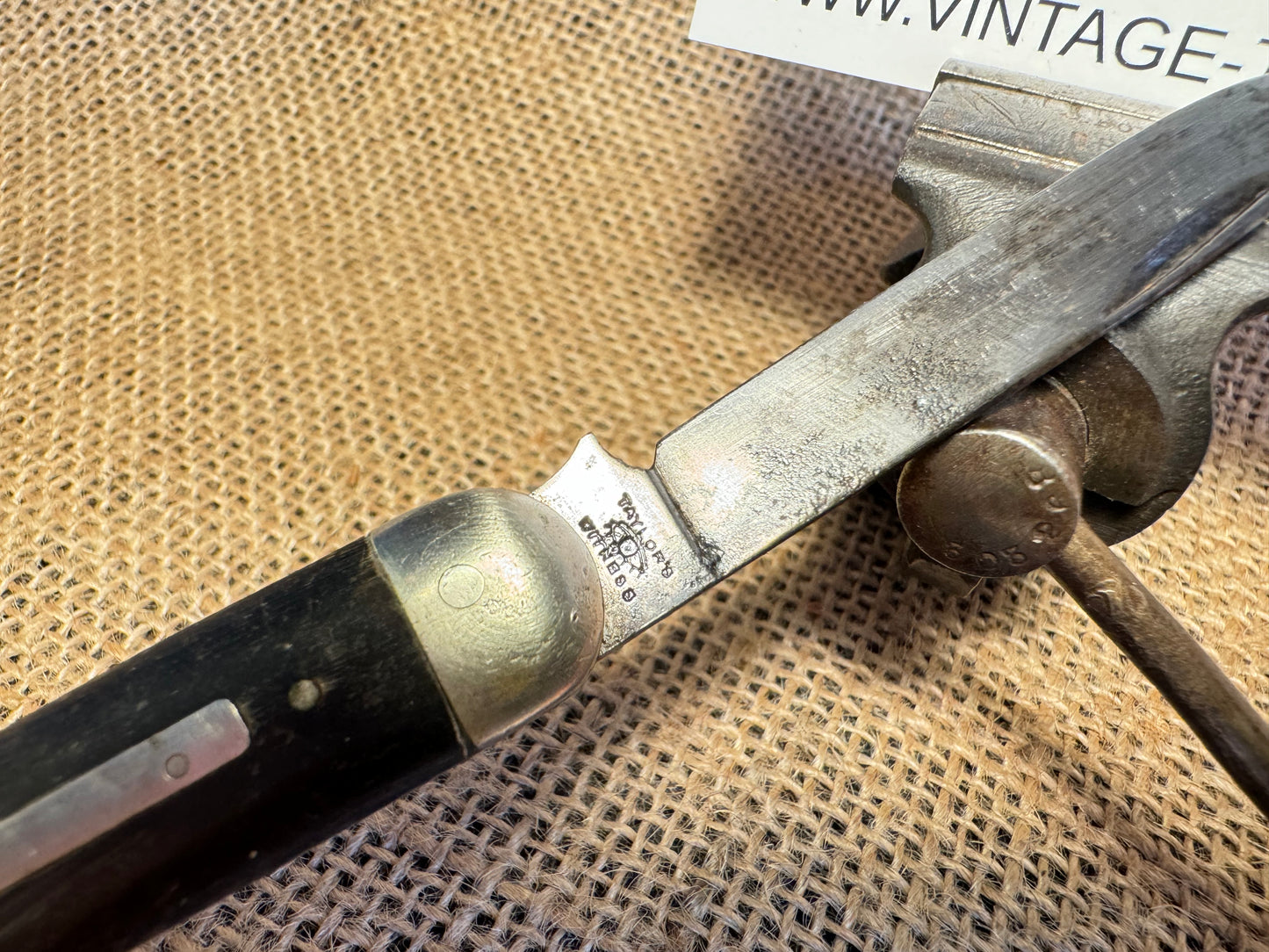 Taylors Eye Witness Vintage Twin Blade Pocket Knife with Rams Horn Handle