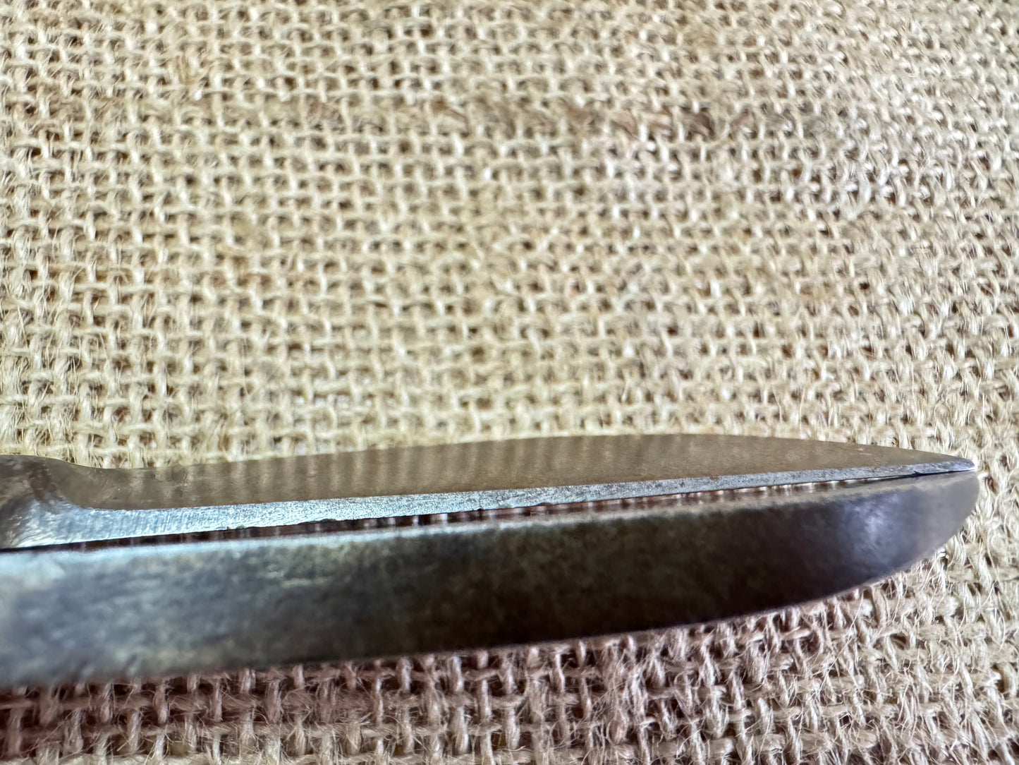 Footprint No 220 10” Tin Snips