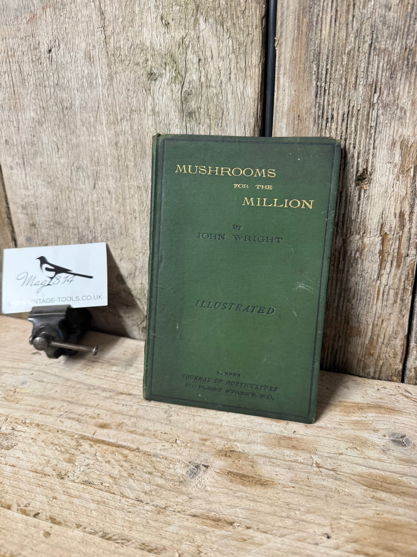 Mushrooms for the Million Book by John Wright 1883