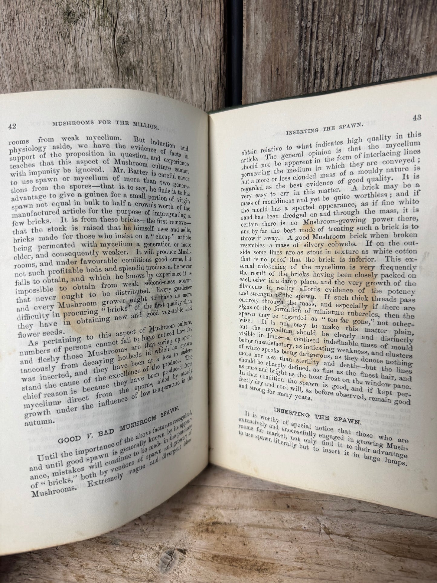 Mushrooms for the Million Book by John Wright 1883