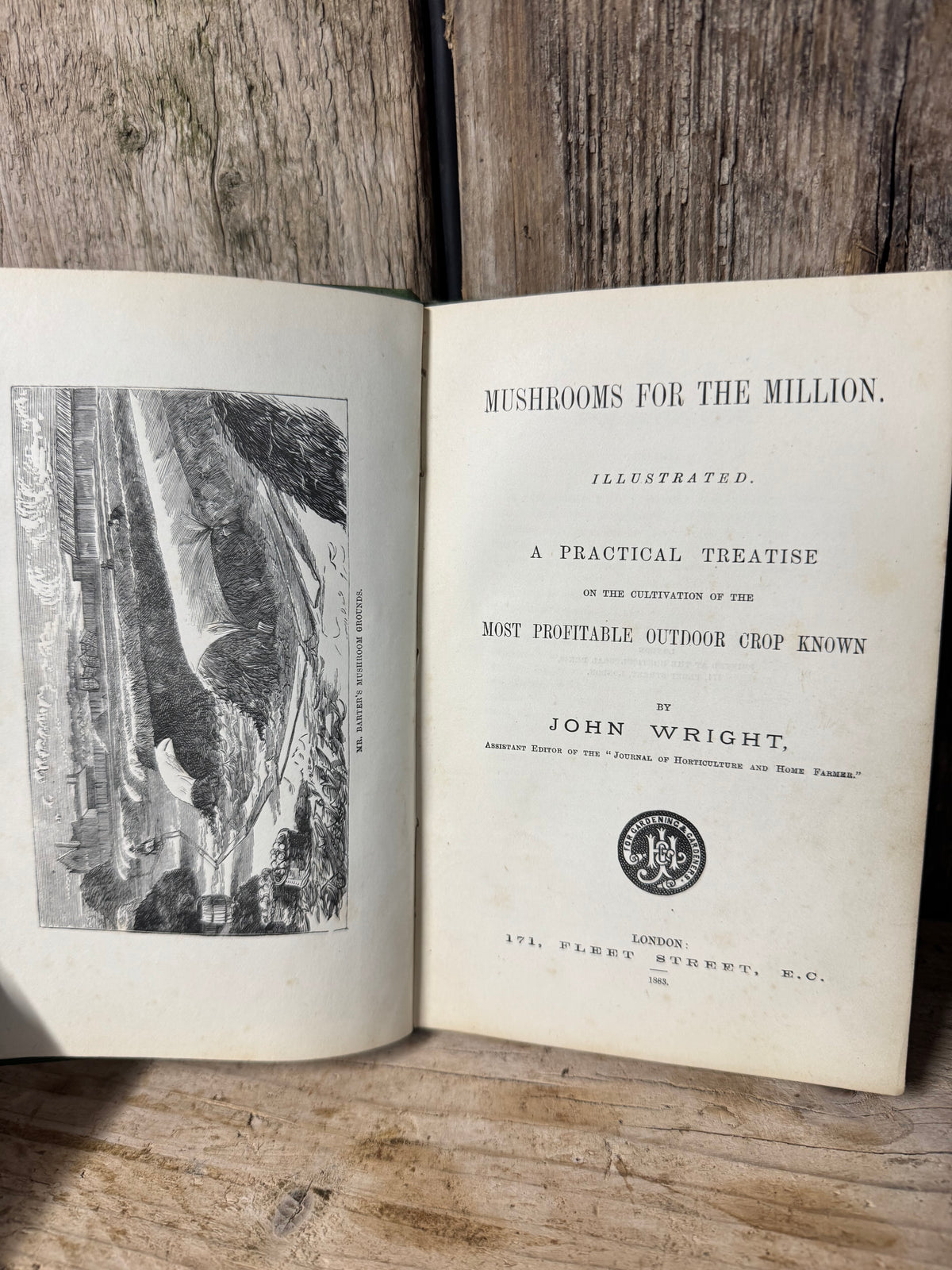 Mushrooms for the Million Book by John Wright 1883