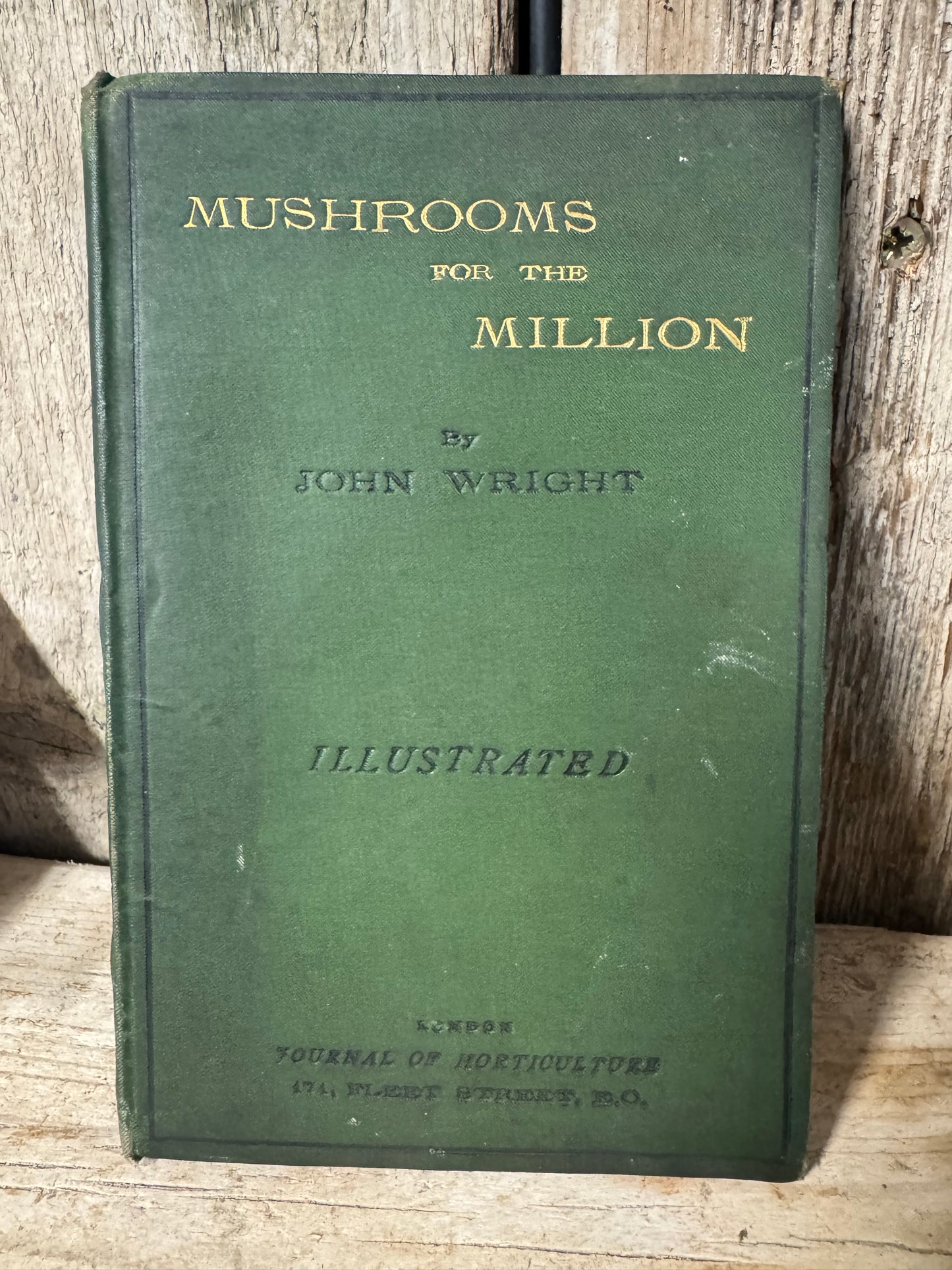 Mushrooms for the Million Book by John Wright 1883