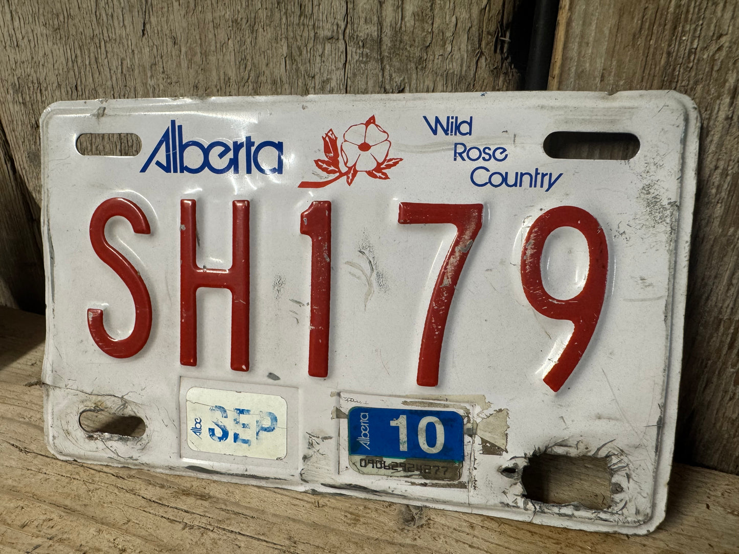 Alberta Wild Rose Country License Plate SH179