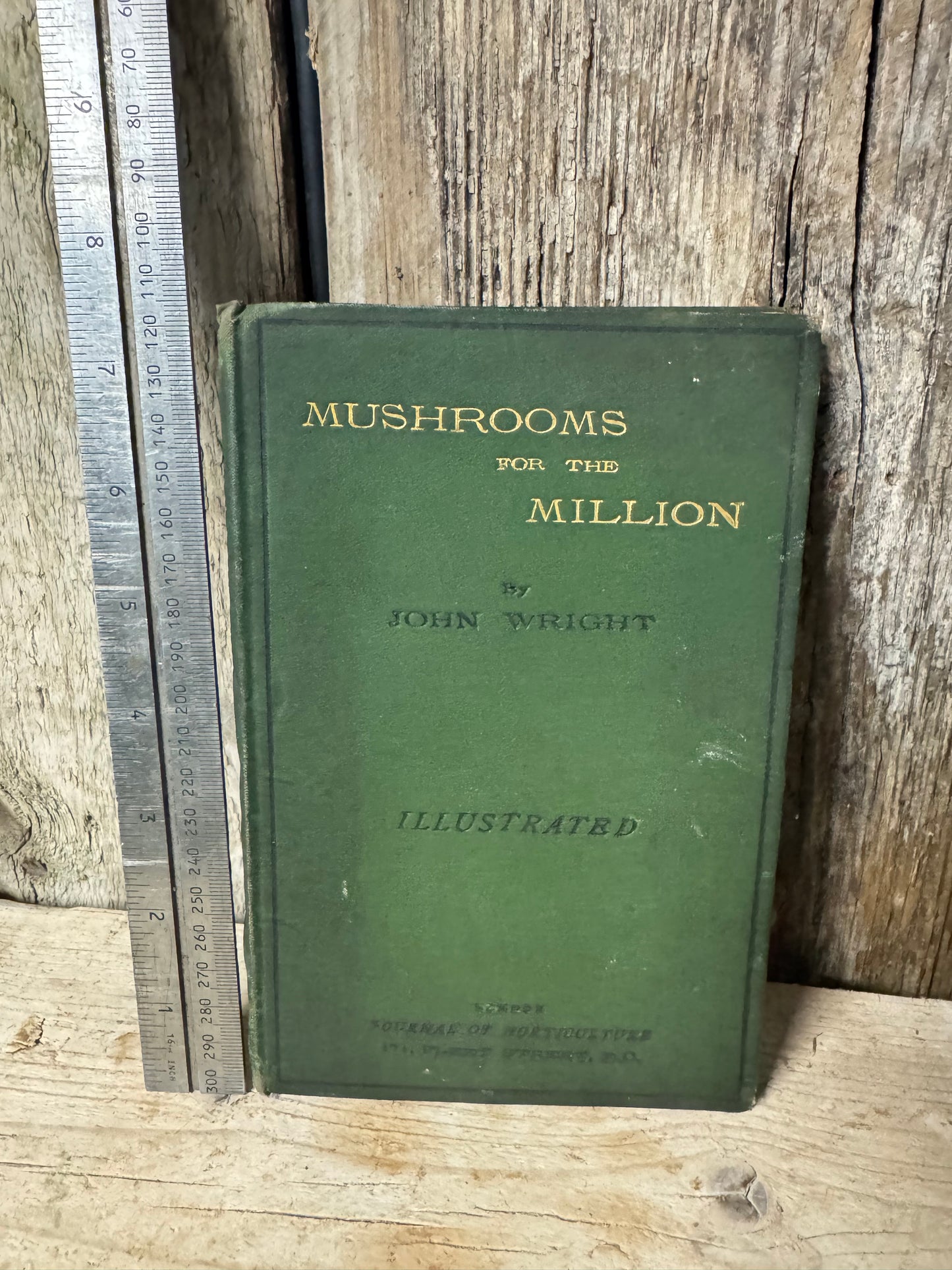 Mushrooms for the Million Book by John Wright 1883