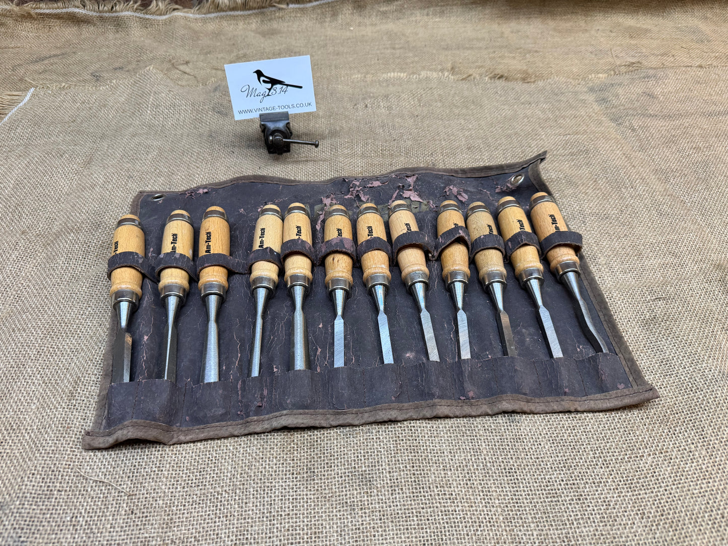 AM-TECH 12 Piece Wood Carving Chisels