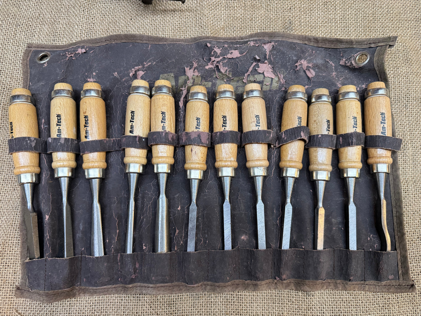 AM-TECH 12 Piece Wood Carving Chisels