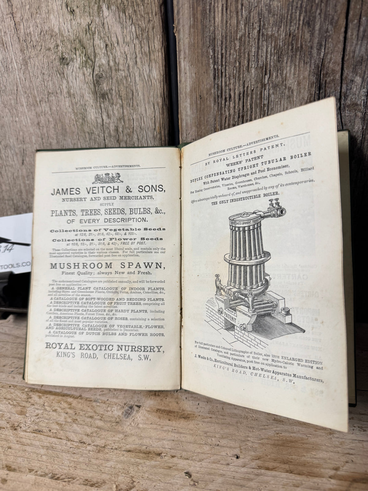 Mushrooms for the Million Book by John Wright 1883