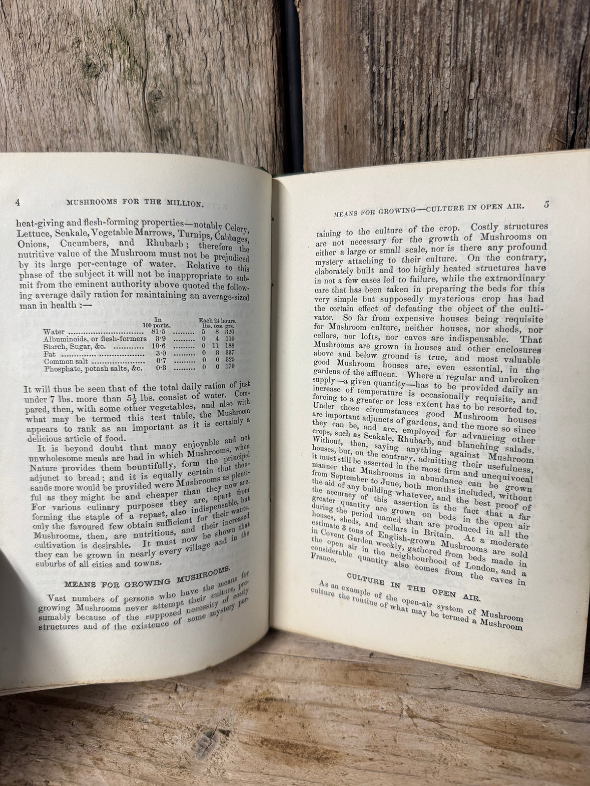 Mushrooms for the Million Book by John Wright 1883