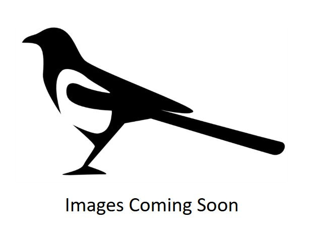 Stanley No 113 Type 3 Compass Plane